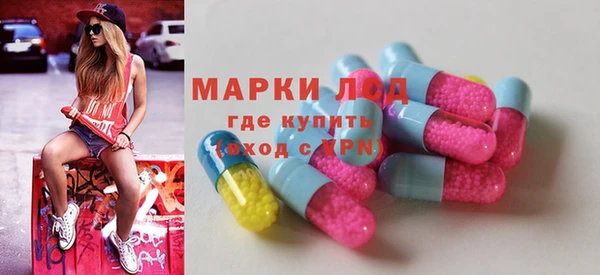 ПСИЛОЦИБИНОВЫЕ ГРИБЫ Арсеньев