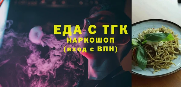 хмурый Алзамай