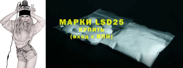 ПСИЛОЦИБИНОВЫЕ ГРИБЫ Арсеньев