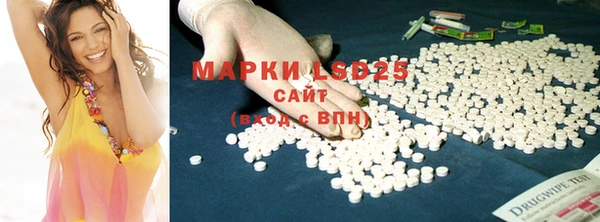 ПСИЛОЦИБИНОВЫЕ ГРИБЫ Арсеньев