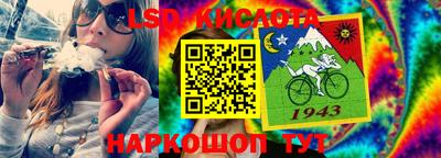 2c-b Камышлов