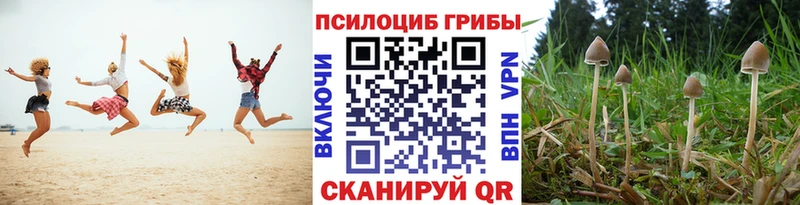 blacksprut   Нововоронеж  Псилоцибиновые грибы MAGIC MUSHROOMS 