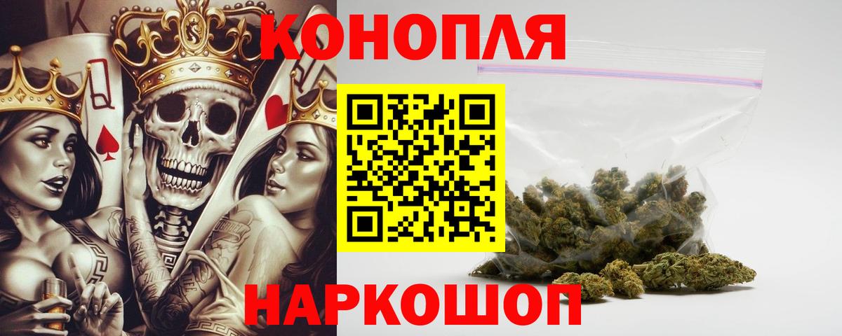 Каннабис планчик Нововоронеж
